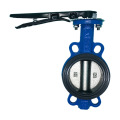 DN50-DN300 Manual pair butterfly valve