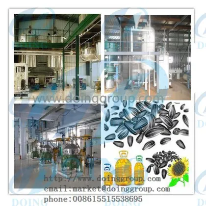 Sesame /groundnut edible oil pressing machine