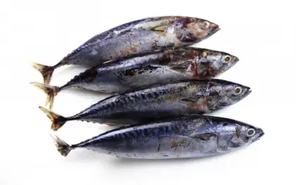 Whole Round Frozen Bonito