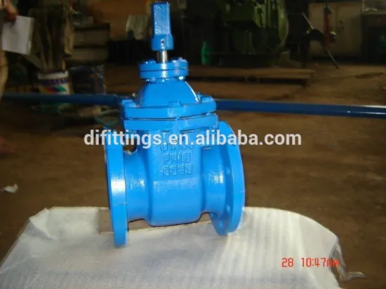 Parallel Double Disc Gate Valve made in China
