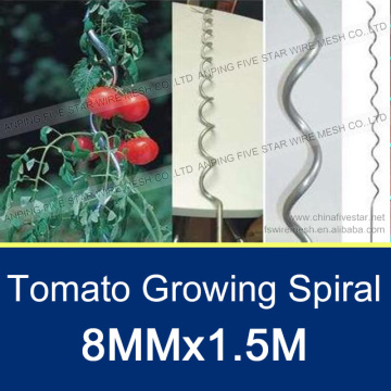 8MM*1.5M Galvanized Tomato Spiral Support Wire