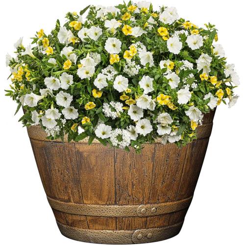 Best Plants for Pots All Year Classic Home and Garden Whiskey Barrel Supplier