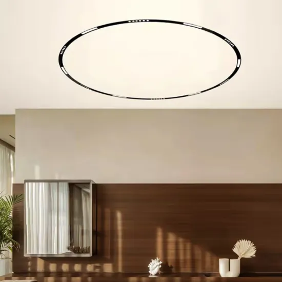 Adjustable Rotating 48V 8W Modern Arc-Shaped Magnetic Track Light