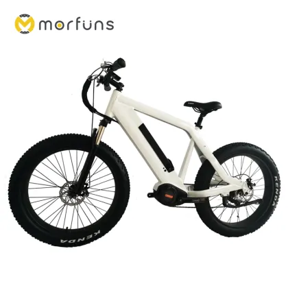 M-TDE-ST Electric Bicycle Mountain E-bike Electric Beach Bike