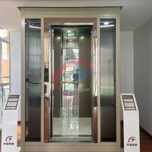 Elevador doméstico hidráulico personalizado para 1-4 pessoas