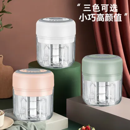 Gloway Mini USB Electric Kitchen Gadget - Onion Crusher, Garlic Mincer, Meat Cutter, Food Chopper for Fruits and Vegetables (100ml/250ml)