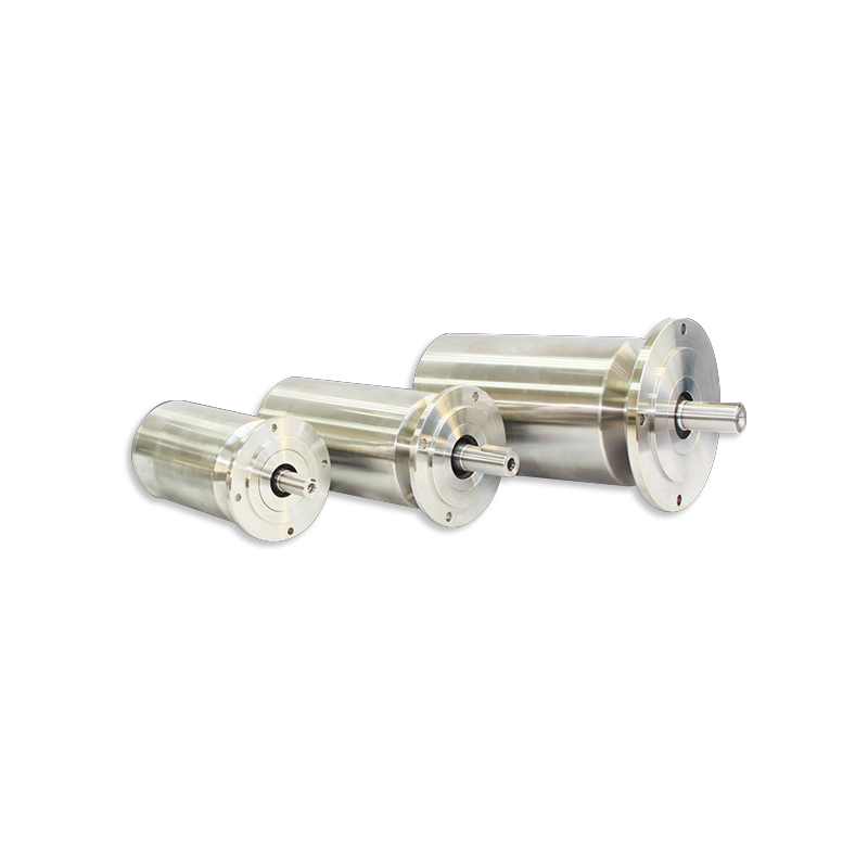 Động cơ servo bằng thép không gỉ không thấm nước 380V AC