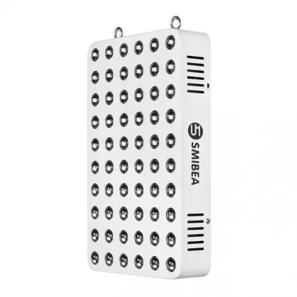 Physical Therapy Lamp With Customized Spectrum For Health