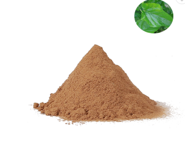 Best price cinnamon powder ceylon cinnamon powder