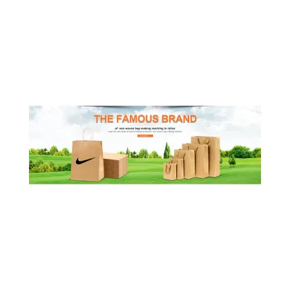 Nanjiang WFD-430 Paper Bag Making Machine