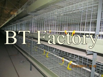 2015 BT-Factory new design H type poultry broiler cages(Factory price) for Negria
