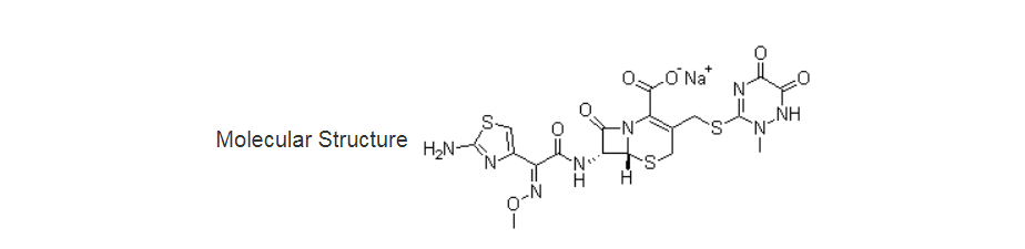 Ceftriaxone sodium02