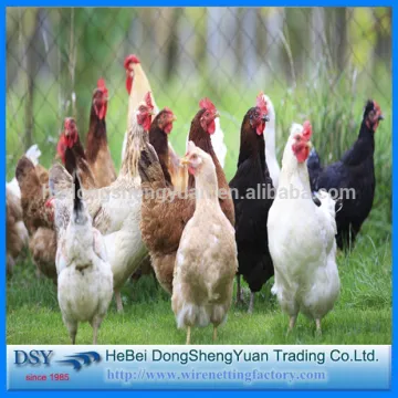 Hexagonal wire mesh/Chicken wire mesh/Galvanized Hexagonal wire netting
