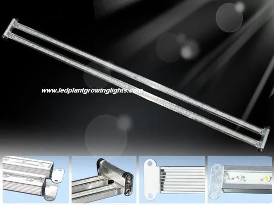 Ip68 44w Super Led Plant Growing Lights Fixture For Indoor Garden Seed