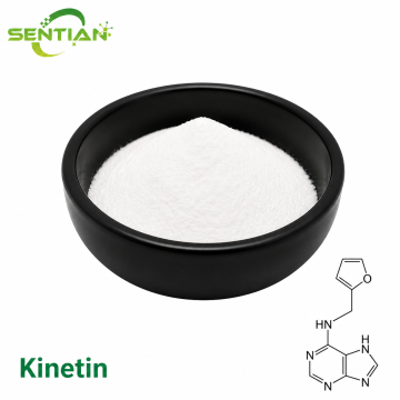 Kinetin Powder Cytokinin Supplier for Plant Propagation