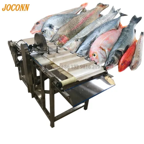 Pangasius Cut Machine: Affordable Tuna Deheading and Fish Head Cutting Equipment
