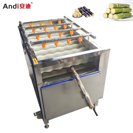 Multifunction Vegetable and Fruit Cleaning Machine with High Pressure Spray and Parallel Rollers