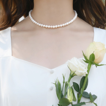 Simple 6-7mm White Cultured Freshwater Pearl Clavicle Necklace in 925 Silver