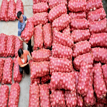 Wholesale high quality cheap onion bag