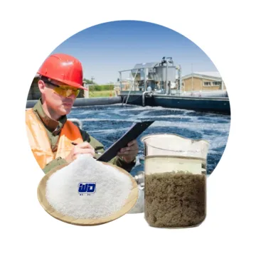 Factory Price Cationic Polyacrylamide Flocculant Coagulant Agents