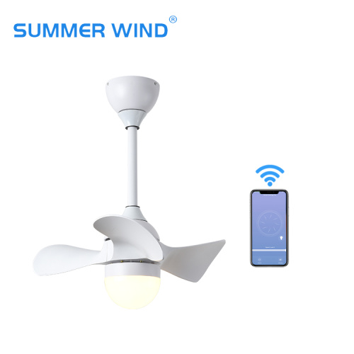 High quality customized beautiful ceiling fan light