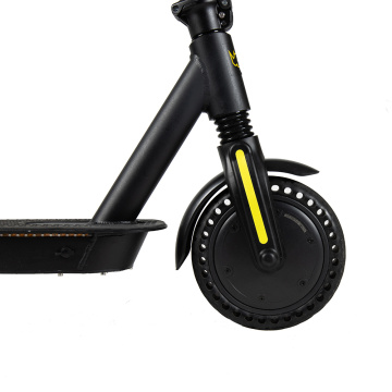 Pro 8.5 Inch 250w Two Wheel Electric Scooters