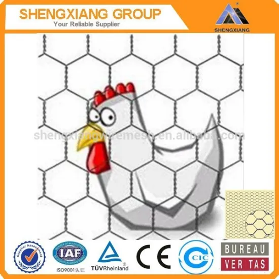 Hot Sale Hexagonal Wire Mesh with Competitive Price