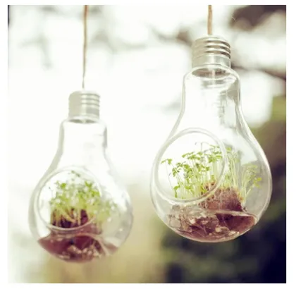 Water Drop Hanging Glass Vases