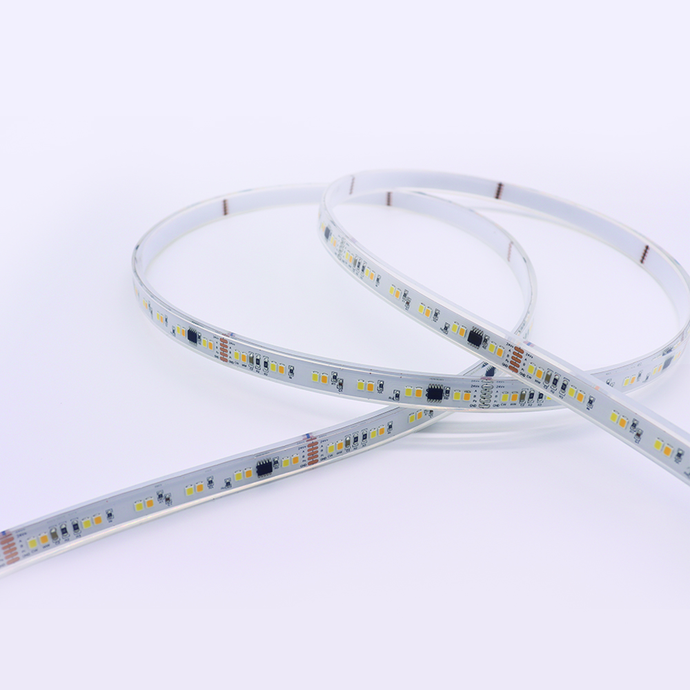 برنامج جديد DMX512 CCT Adquadable 2835 LED Pixel Tape Light IP68 DMX Strip LED