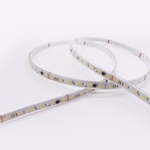 Neues Programm DMX512 CCT adressierbar 2835 LED Pixel Tape Light IP68 DMX Strip LED -Leuchten