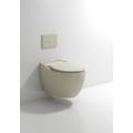 Ceramic Wall Hung Toilet with Certification