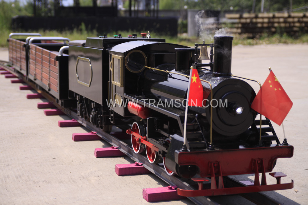 Mini Steam Locomotive 03 Jpg