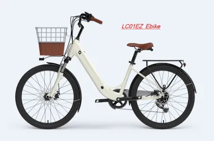 Customized Yeti E Bike Lady