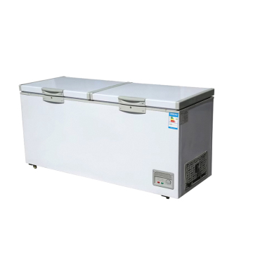 Double Doors Chest Freezer Refrigerator by Deep Freezer Manufacturer