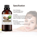 Wholesale Bulk organic macadamia oil skin hair care