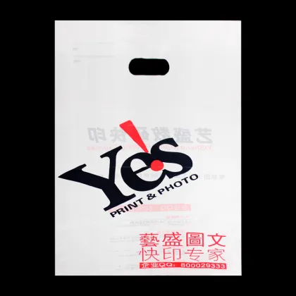 Wholesale Brand Name Bags Nice PE Bag