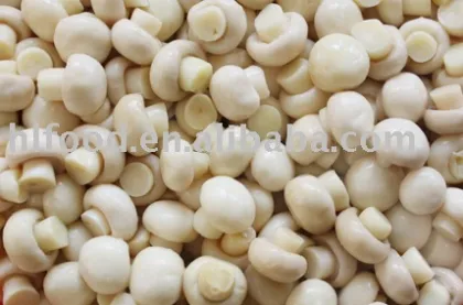 mushroom agaricus in conserve