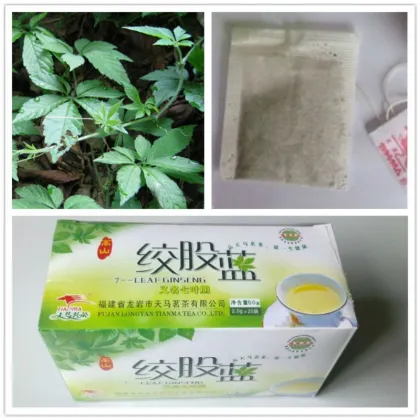 Hot sale Jiaogulan Tea Bag 50g/box Seven Leaf Ginseng