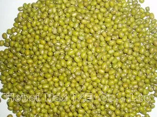 green mung bean