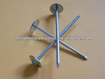 Umbrella head roofing nails(factory)