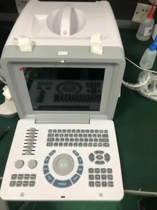 B/W Ultrasound machine Portable