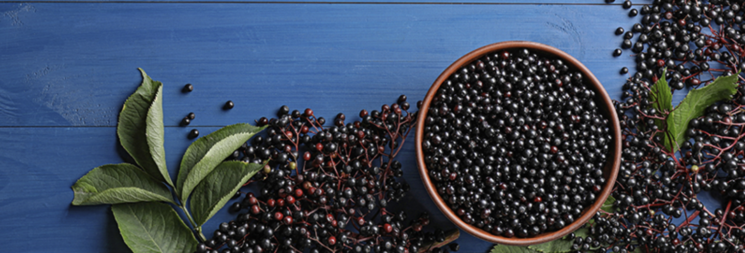 Elderberry Powder