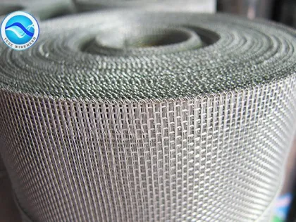 Galvanized Wire Mesh Iron Wire Mesh