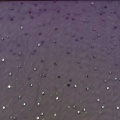 Tulle leggero in poliestere con stampa a pois bicolore