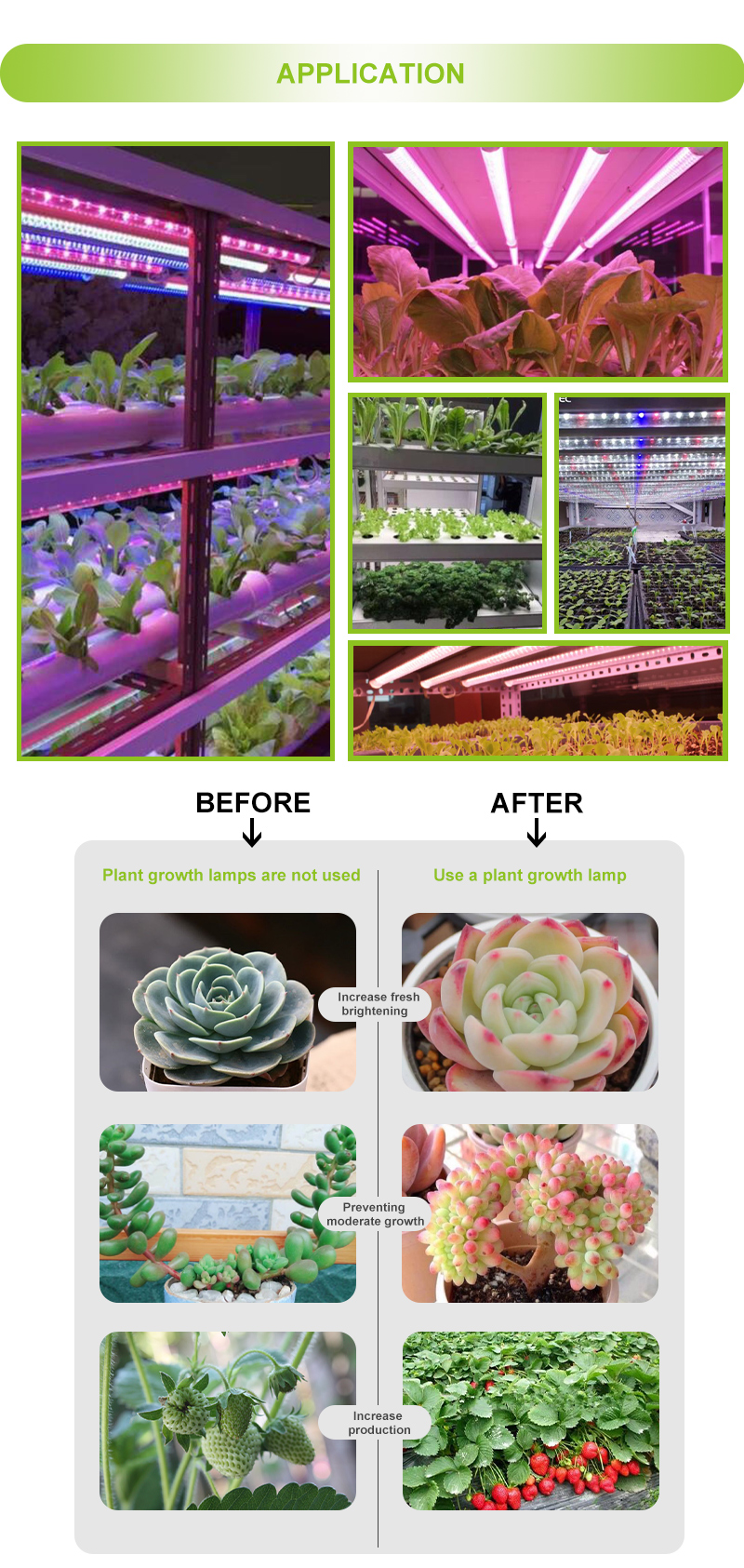 Tube Led Grow Light