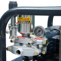 Pulvérisateur de pesticides automatique portable avec moteur puissant