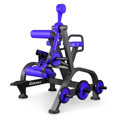 Gym equipment Reverse Hyperextension