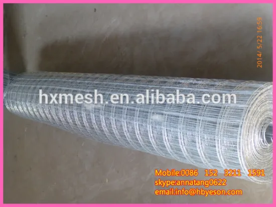 1" hot dip galvanized iron wire mesh fence