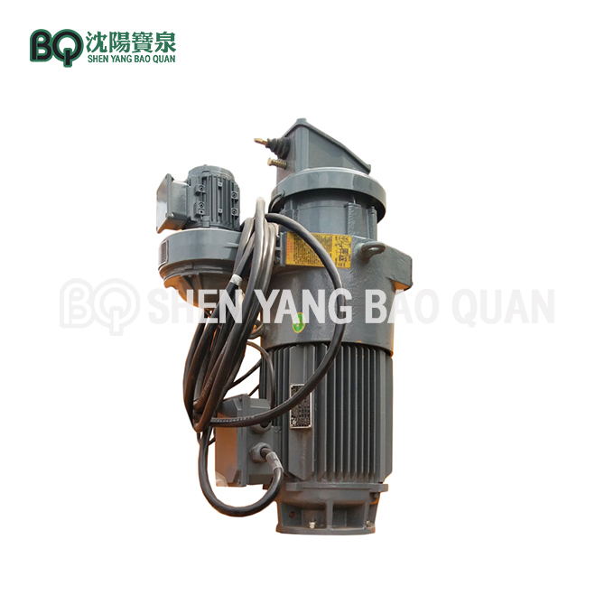 5.5KW Slewing Drive Motor for Tower Crane