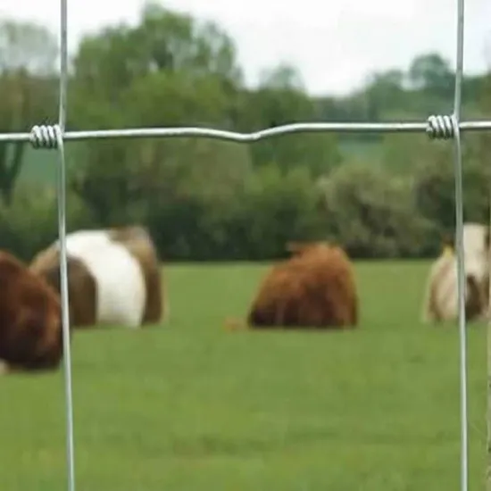 Hot Dip Galvanized Hinged Joint Wire Mesh for Security Fencing